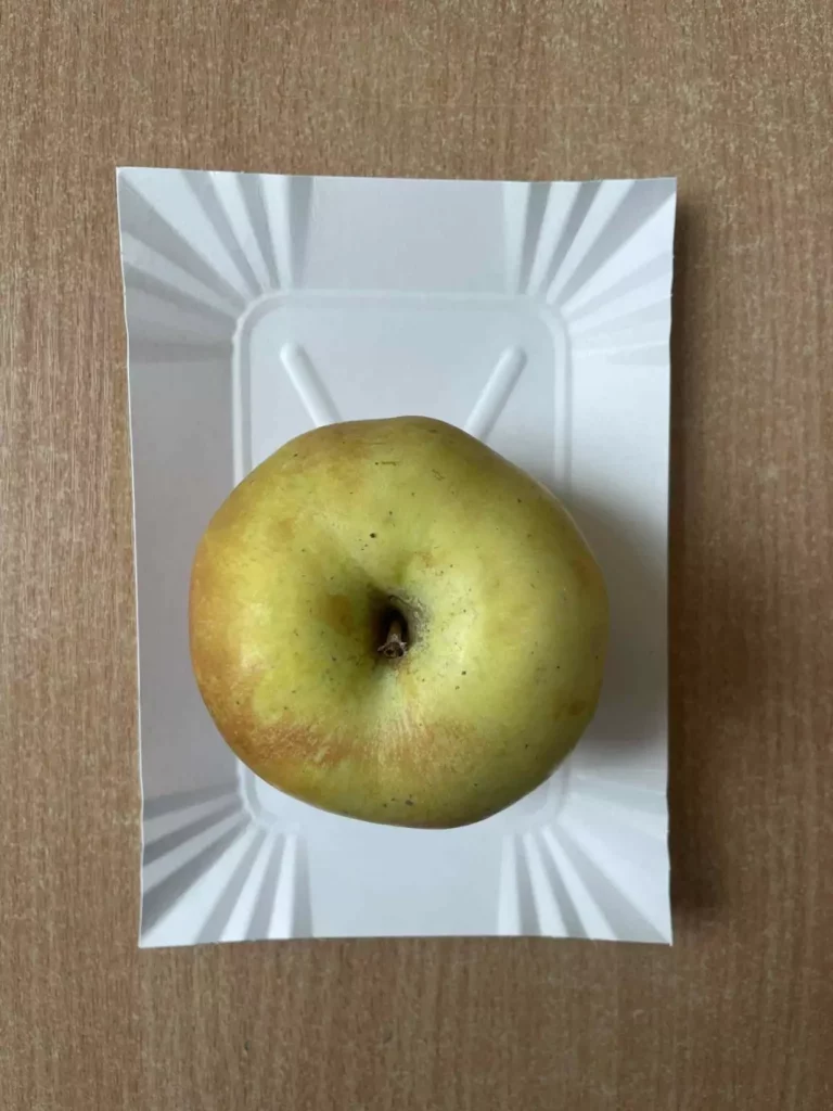 II śniadanie: dieta podstawowa (Chorzów, Sosnowiec) 
Jabłko
A: - 

