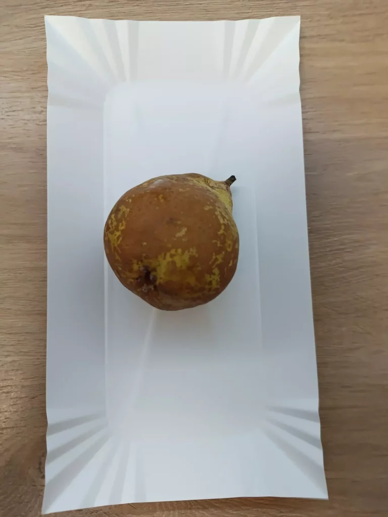 II śniadanie: dieta z ograniczeniem łatwoprzyswajalnych węglowodanów (Chorzów, Sosnowiec) 
Gruszka
A: - 
